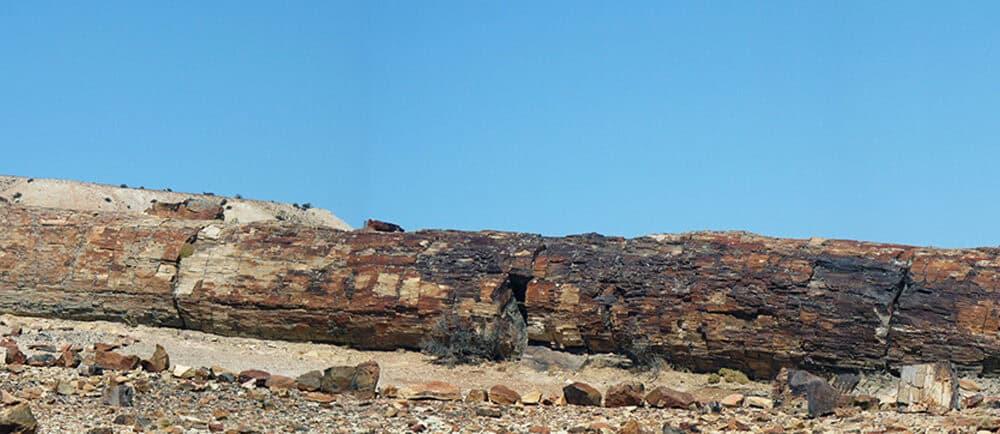 Fósil de roca en paisaje árido, resaltando la historia geológica de El Kaminante.