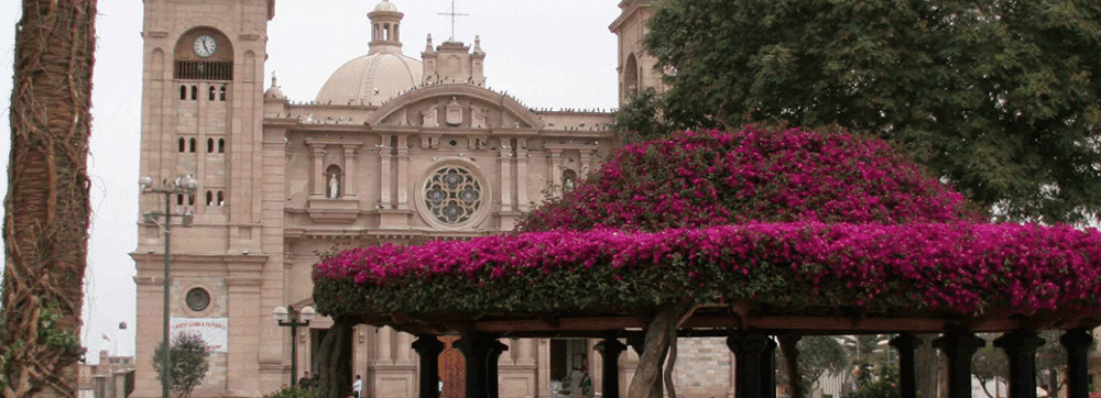 Caminata en la plaza con árboles y edificio histórico en el fondo.
