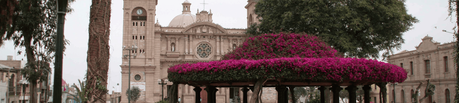 Caminata en la plaza con árboles y edificio histórico en el fondo.