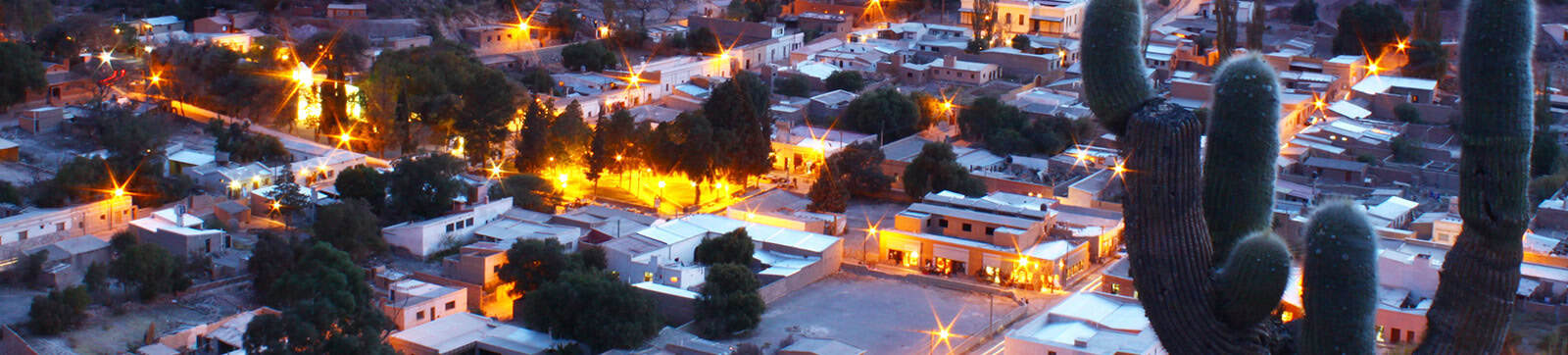 Cactus en la ciudad iluminada al atardecer en El Kaminante, Uruguay.