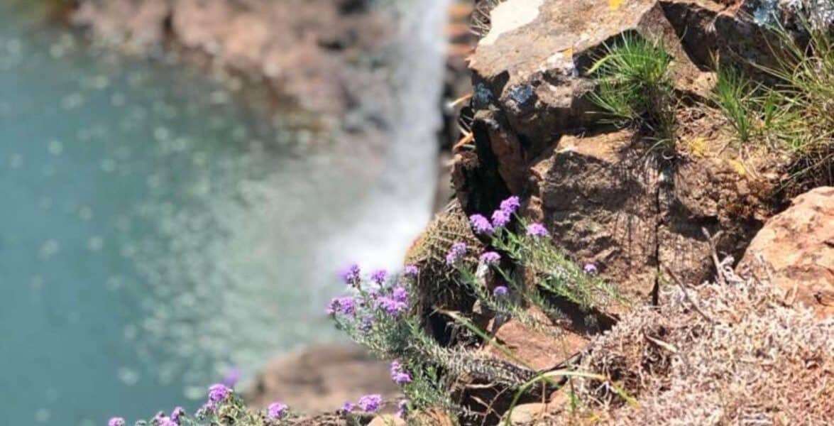 Río con cascada y vegetación en entorno natural, paisaje sereno y relajante.