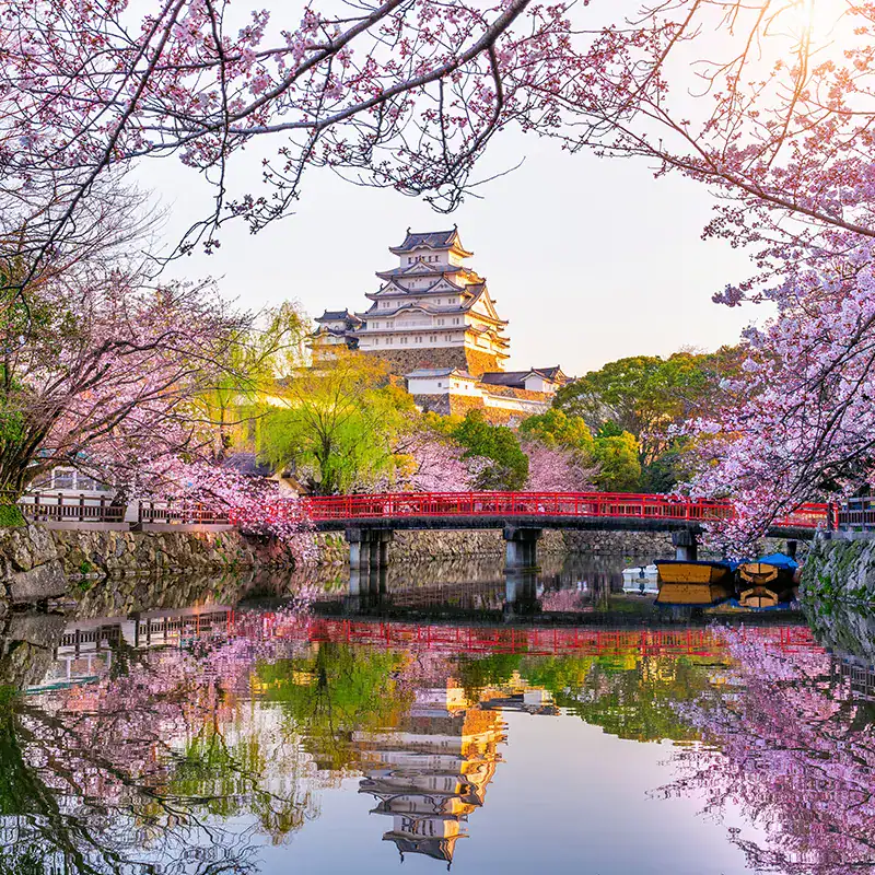 Asia