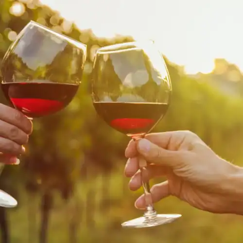 A toast with two glasses of red wine outdoors at sunset.