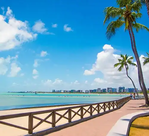 Playa con palmeras y paseo marítimo en un día soleado en Uruguay.