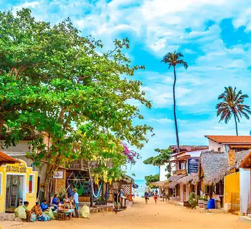 A colorful street scene in a tropical village with palm trees and local shops.