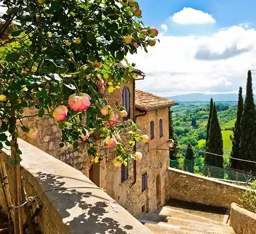 A lush garden with pink roses and stone buildings overlooking a scenic countryside view.