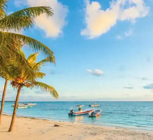 Relaxing beach scene with palm trees and boats on the shore under a blue sky.
