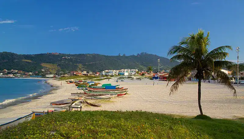 Relaxing beach scene with boats, palm trees, and distant hills in Uruguay.