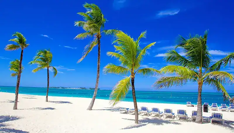 Baldosas de arena y palmeras en una playa tropical con mar azul y cielo despejado.