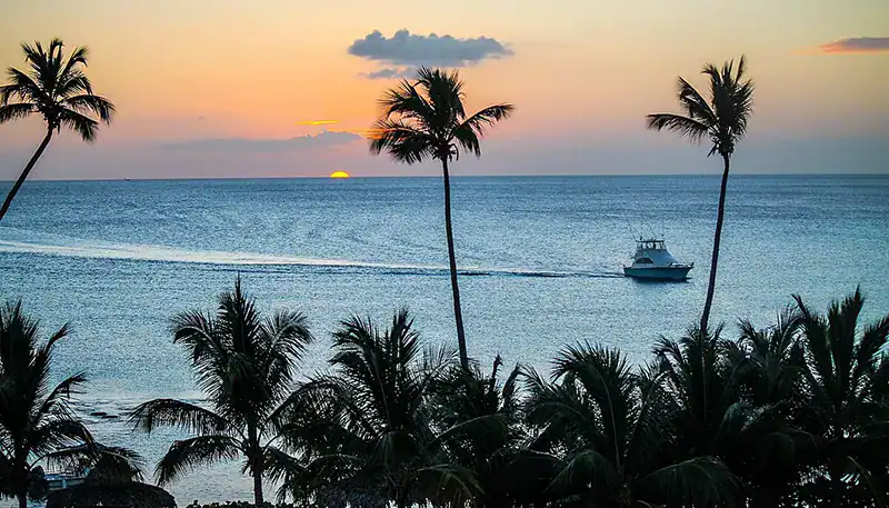 Atardecer en la playa con palmeras y barco en el mar, vista tropical y relajante.