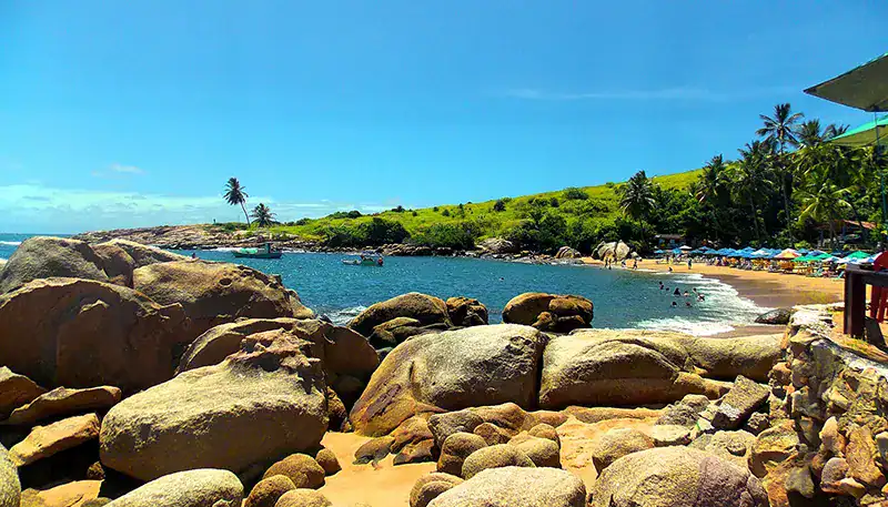 Playa con rocas y palmeras en un entorno tropical, ideal para relajarse y disfrutar del paisaje cost.