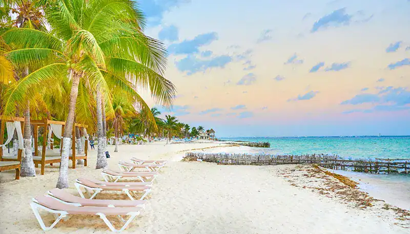 Relaxing beach scene with palm trees, lounge chairs, and calm ocean waters at sunset.