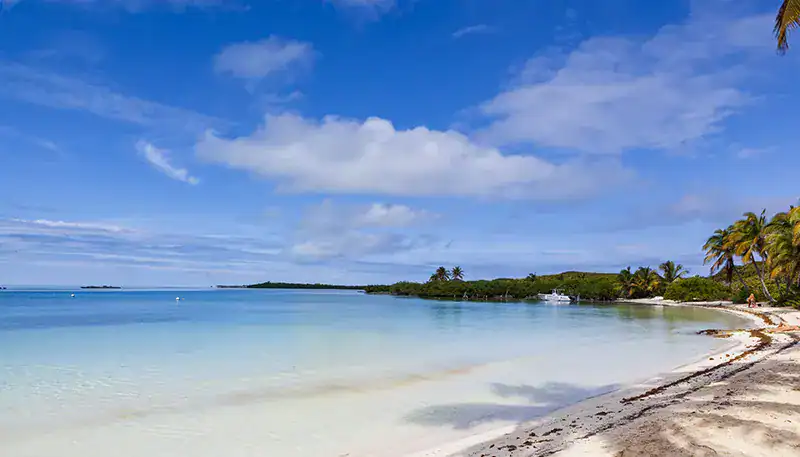 Relaxing tropical beach with clear blue water and palm trees under a partly cloudy sky.