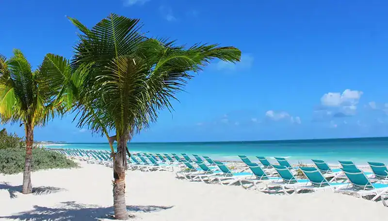 Relaxing beach scene with palm trees and lounge chairs under a clear blue sky.