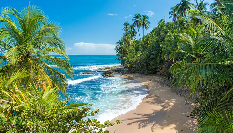 Playas tropicales con palmeras y agua cristalina en un entorno paradisíaco.