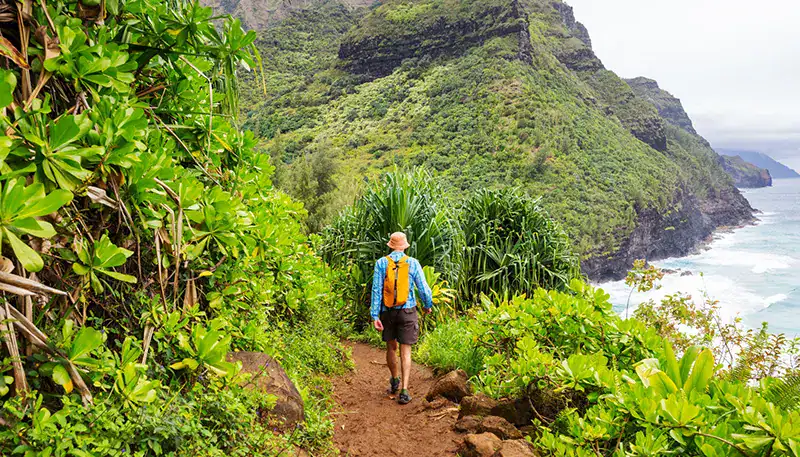Explorador caminando por sendero en la naturaleza con vista al mar y montañas verdes.