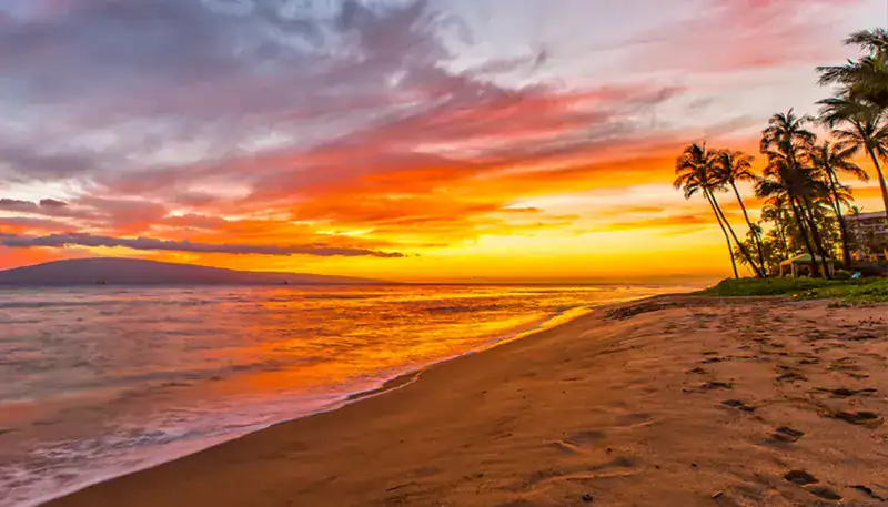 Atardecer en la playa con palmeras y cielo colorido, vista panorámica del mar y la arena.