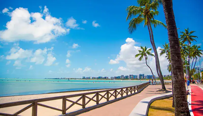 A beach promenade with palm trees and a clear blue sky in a tropical coastal setting.