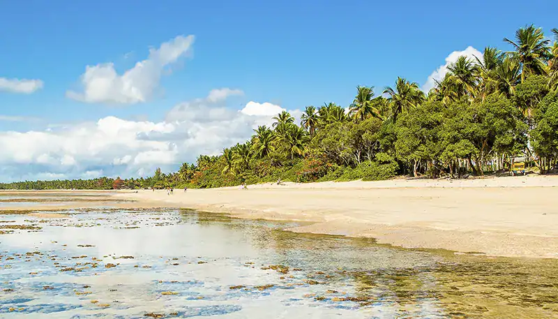 Playa tropical con palmeras y agua cristalina en un día soleado.