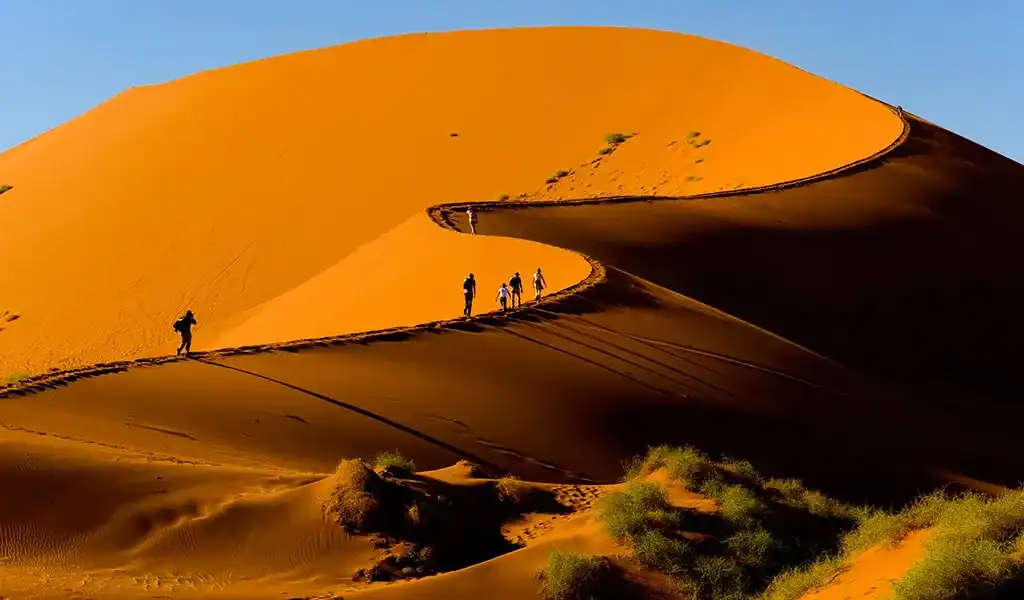 Sand dunes in a desert under a clear blue sky, with people exploring the landscape.
