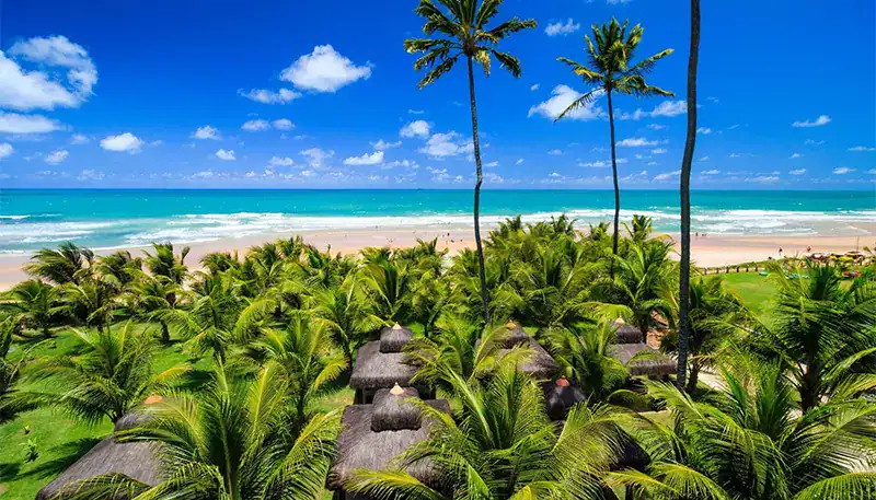 A lush tropical beach with tall palm trees and thatched-roof huts overlooking the ocean.