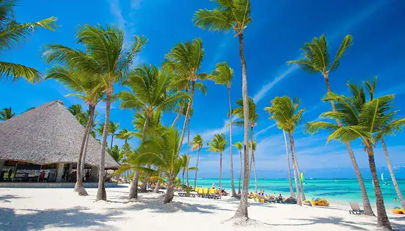 Palmeras en playa tropical con cielo azul y arena blanca, ambiente relajante y paradisíaco.