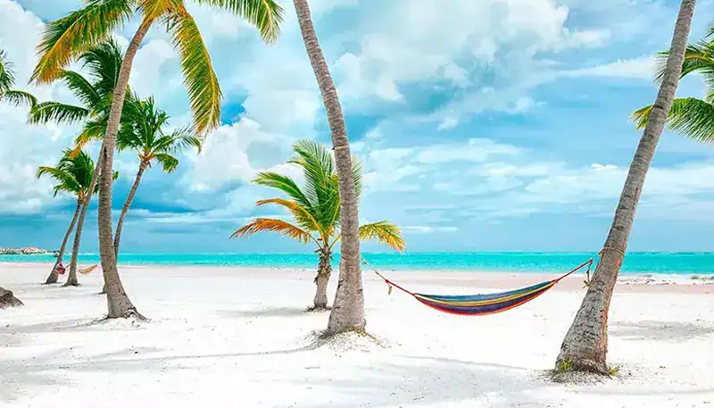 Disfruta de una playa paradisíaca con palmeras y hamaca en arena blanca y mar turquesa. Perfecto par.