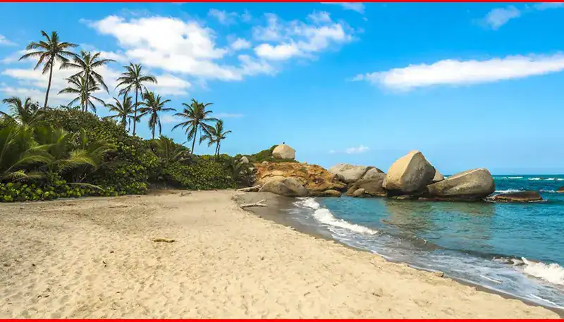 A lush tropical beach with palm trees and large rocks under a bright blue sky.