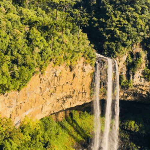 Cascada rodeada de vegetación en un entorno natural.
