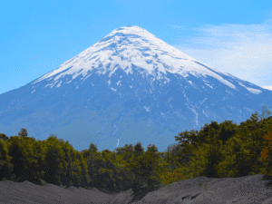 Mount Fuji with snow-capped peak and lush green forest in the foreground.