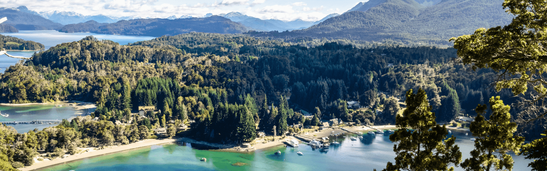 A lush green forest surrounding a serene lake with mountains in the background.