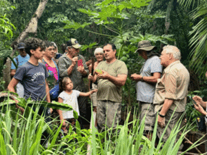 Grupo de turistas y guía en la selva, aprendiendo sobre flora y fauna tropical.