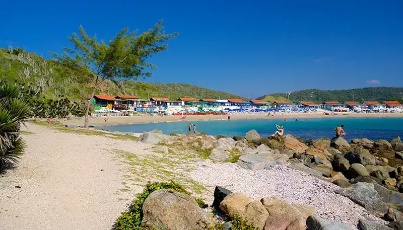 Playa con piedras y árboles en un día soleado en Uruguay.